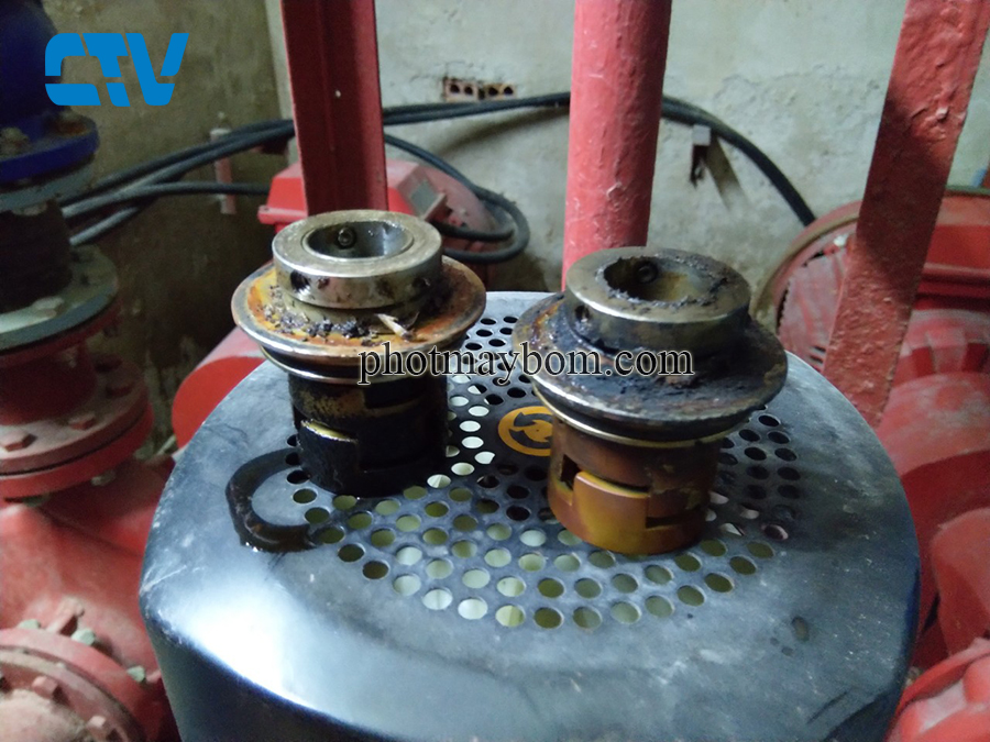 Sửa Máy Bơm Pentax Bị Hỏng Phớt